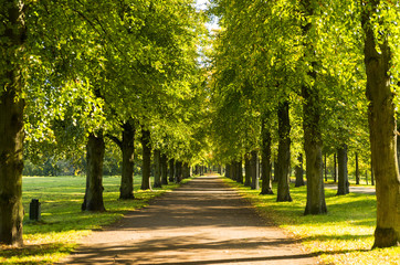 Stadtpark