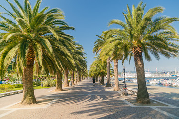 Promenade alley with palm trees in La Spezia, Italy