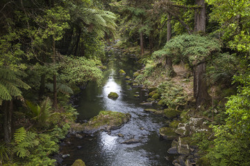 Wasserfälle von  Whangarei