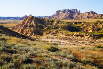 semi-desert landscape
