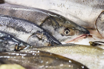 Pile of fresh seabass on market stall