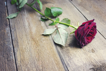 rose on wooden table