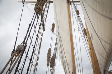 Obraz premium Segelschiff in der Bay of Islands