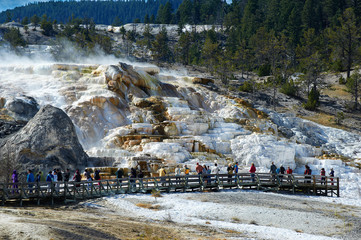 Minerva Terrace, Mammoth Hot Springs, Yellowstone, Wyoming, USA