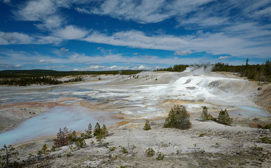 Norris Geyser Basin, Yellowstone, Wyoming, USA