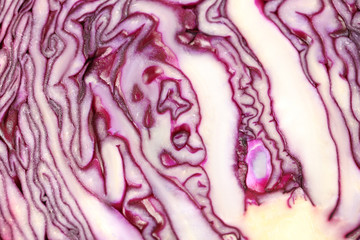 Obraz premium Ripe red cabbage background, close up