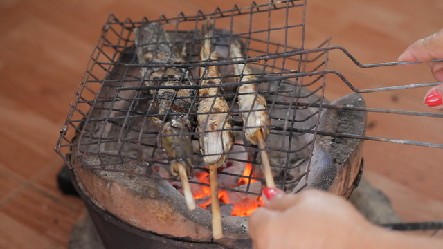 Grilling fish on campfire.Full HD