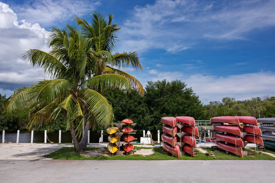 Canoes and Palm at Flamingo Marina in Everglades National Park.