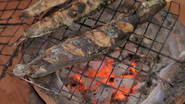 Grilling fish on campfire.Full HD