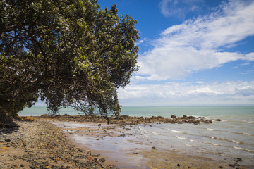 Strand in Coromandel  Neuseeland