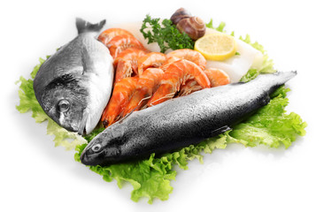 Seafood isolated on white