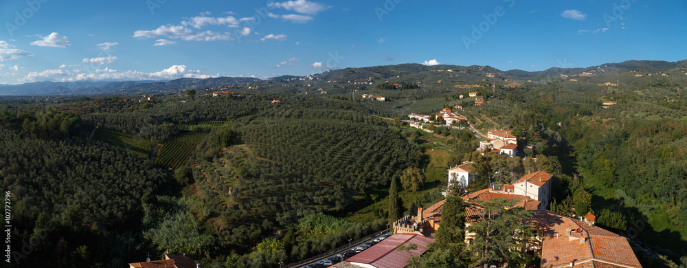 Poster Panoramic Conti Guidi Castle View