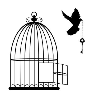Bird Cage Vector