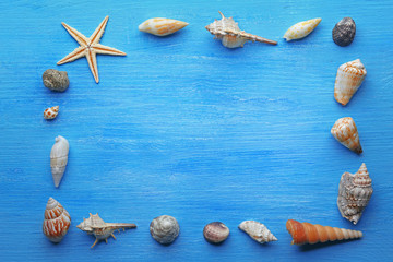 Frame shaped seashells on blue background