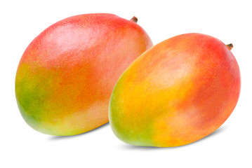 Mango isolated on white