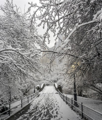 Gapstow bridge Central Park, New York City during snow storm