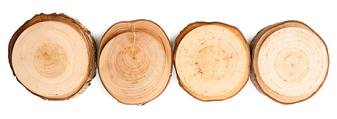 Wood round slices, isolated on white