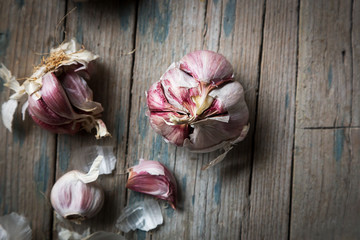 Healthy garlic