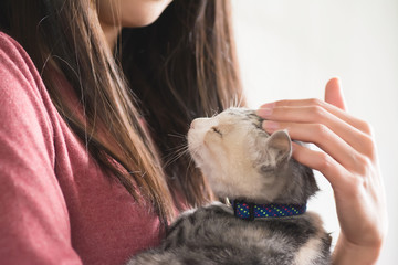  woman play with her kitten