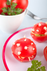 Lustige Fliegenpilze