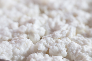 White cottage cheese texture closeup.