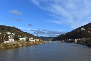 Fototapeta na wymiar Neckar bei Heidelberg 