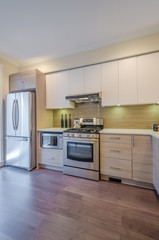 Modern kitchen in luxury house.