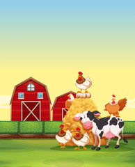 Obraz na płótnie Canvas Farm animals living on the farm