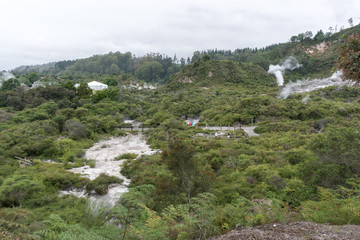 Fototapeta na wymiar te puia geothermal valley