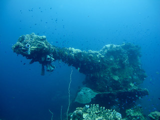 The gun in the front of shipwreck from the world war 2, Pacific Ocean