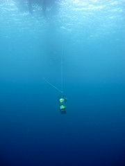 Fototapeta na wymiar Spare tank in underwater for safety stop