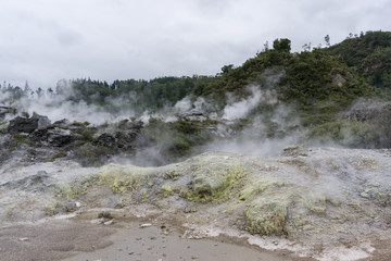 te puia geothermal valley