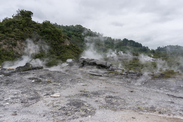 te puia geothermal valley