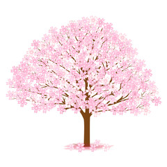 Obraz premium 桜 春 花 アイコン