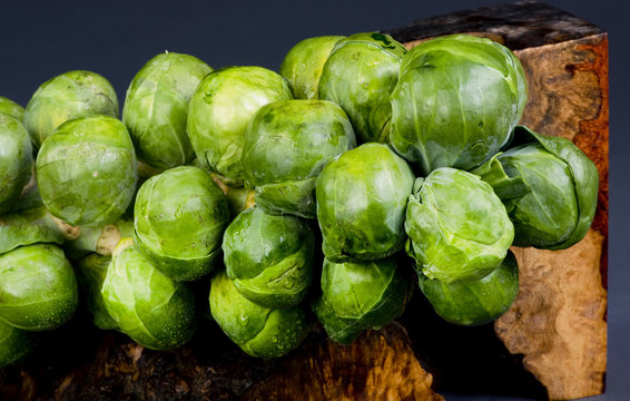 Brussel Sprouts Stalk.