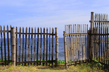 A village yard near a beach, Negros island, Philippines