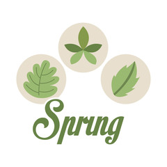 spring season design 