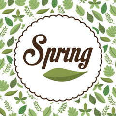 spring season design 