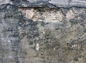 Grunge wall background