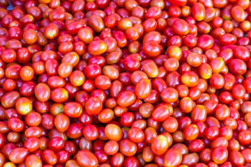 Group of fresh tomatoes