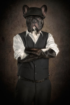 Lemmy The Bulldog V2