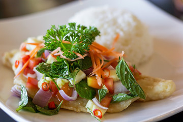  rice and grilled fish Dolly