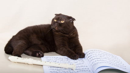 The cat lies on a white background with notes and flute © karmad