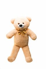 Big Bear soft toy isolated