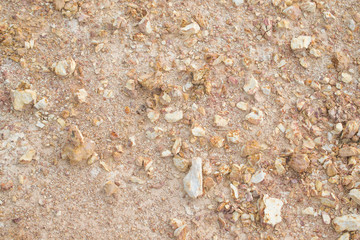 laterite soil