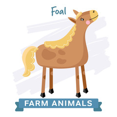 Foal isolated, vector illustration. Farm Animals Series. 