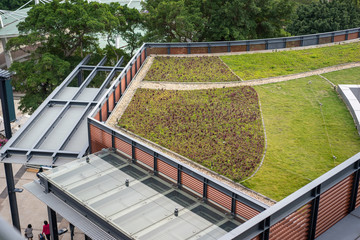 lawn on the roof top