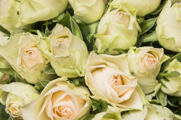bouquet of roses close up