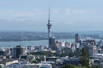 Fototapeta na wymiar Auckland city view