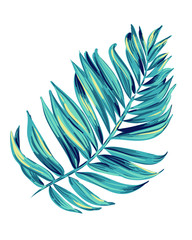 vector illustration of a tropical leaf. Artistic brush stokes create a layered botanical illustration of a palm. single isolated element for decoration, fashion. Nature, tree, aloha colors.